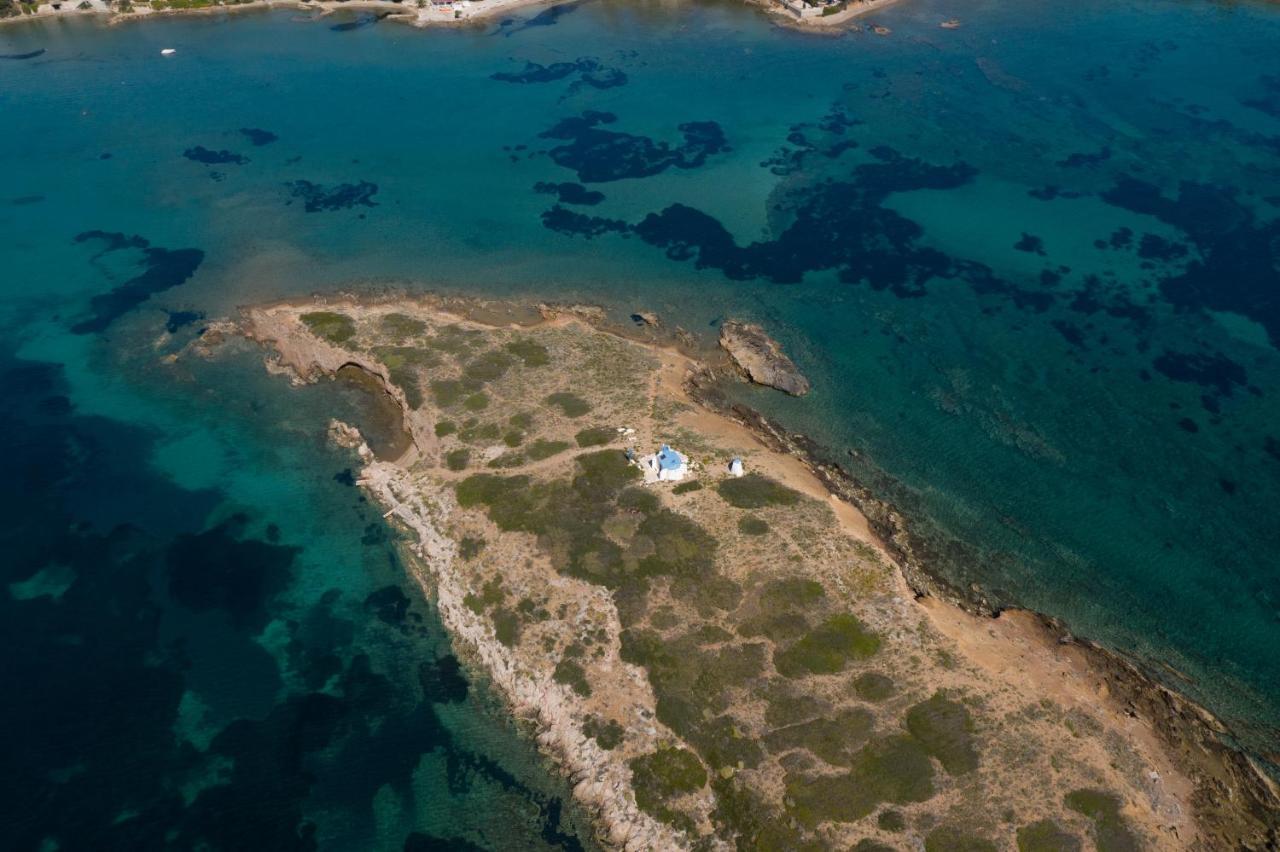 Modular Bungalows With Heated Pool Artemis Greece Dış mekan fotoğraf