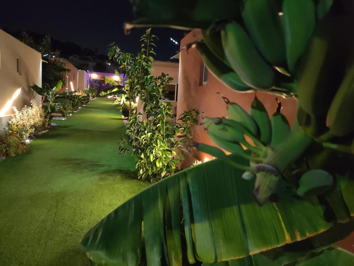 Modular Bungalows With Heated Pool Artemis Greece Dış mekan fotoğraf
